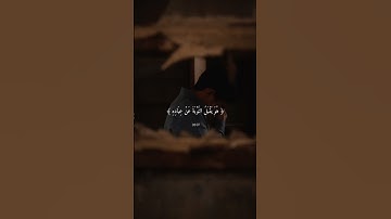 ألم يعلموا أن الله يقبل التوبة عن عباده #ماهر_المعيقلي#قران_كريم#تلاوة_هادئة#تلاوة_خاشعة#استغفار#ذكر