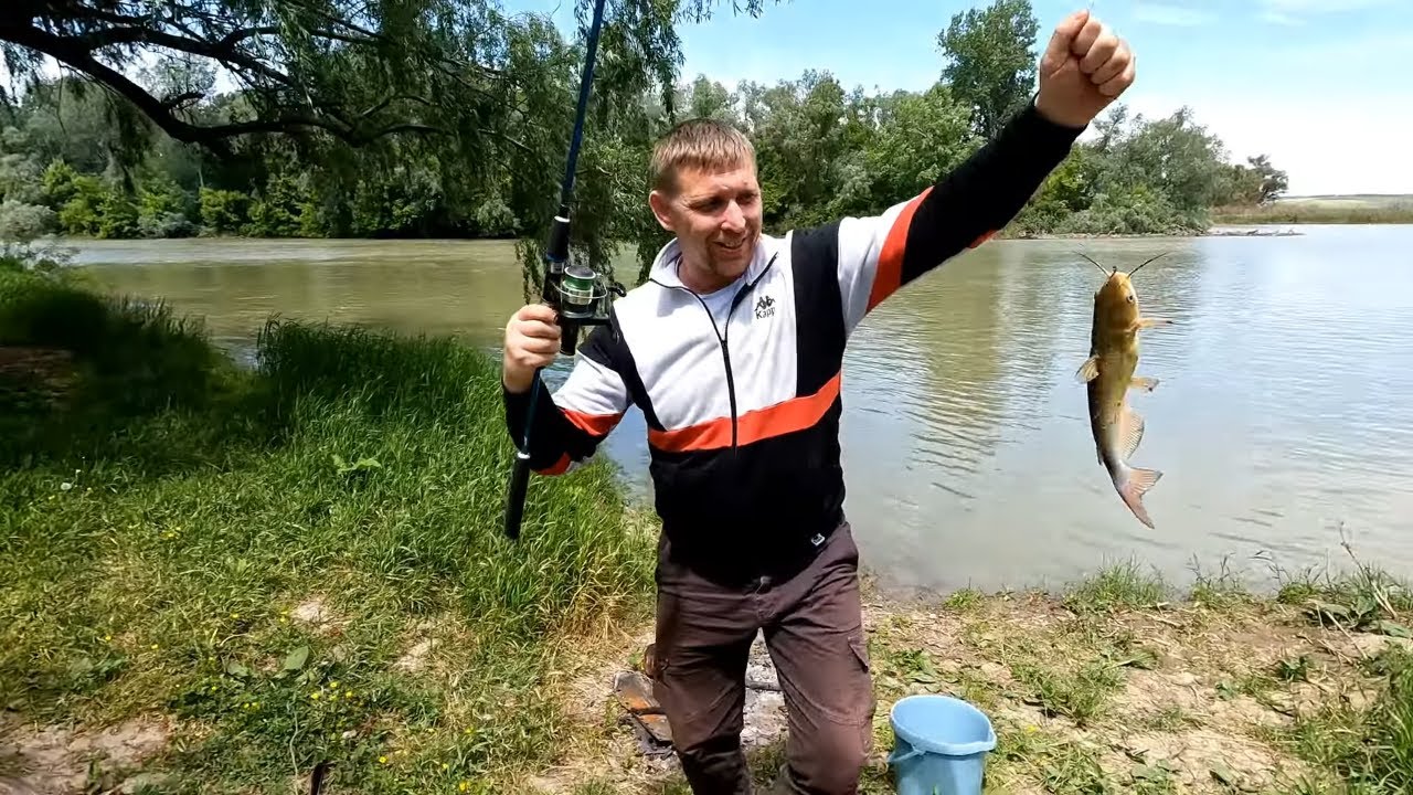 Карась на Кубани. Рыбалка на Кубани видео. Рыбалка на Кубани весной. Анапа рыбалка с берега. Рыбаки кубани