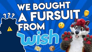 We Bought A Fursuit From Wish!!!  Furry Wish.com Series