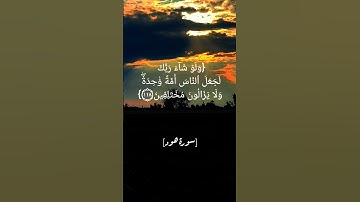 سورة هود الآية ١١٧و١١٨و١١٩ بصوت الشيخ أحمد العجمي #القرآن