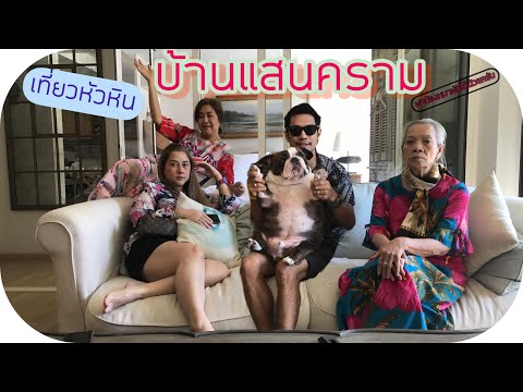เที่ยวหัวหินโรงแรมบ้านแสนคราม&พาน้องหมาไปพักได้