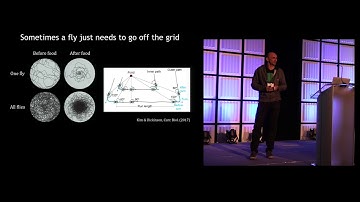 Vivek Jayaraman - Navigational attractor dynamics in the Drosophila brain (Cosyne 2018)