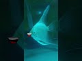 Did My Angelfish Eat the Fry? 😳 | Mystery Solved | Part 4 | day 5 #angelfish #aquarium