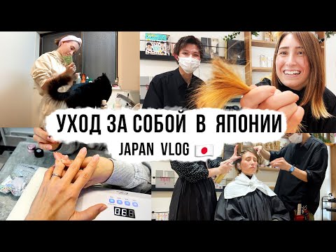 Video: Smučanje na Japonskem: Popoln vodnik