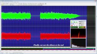 Ripping Vinyl Records With GoldWave Audio Editor screenshot 5