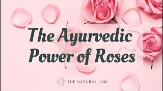 The Ayurvedic Power of the Rose Resimi