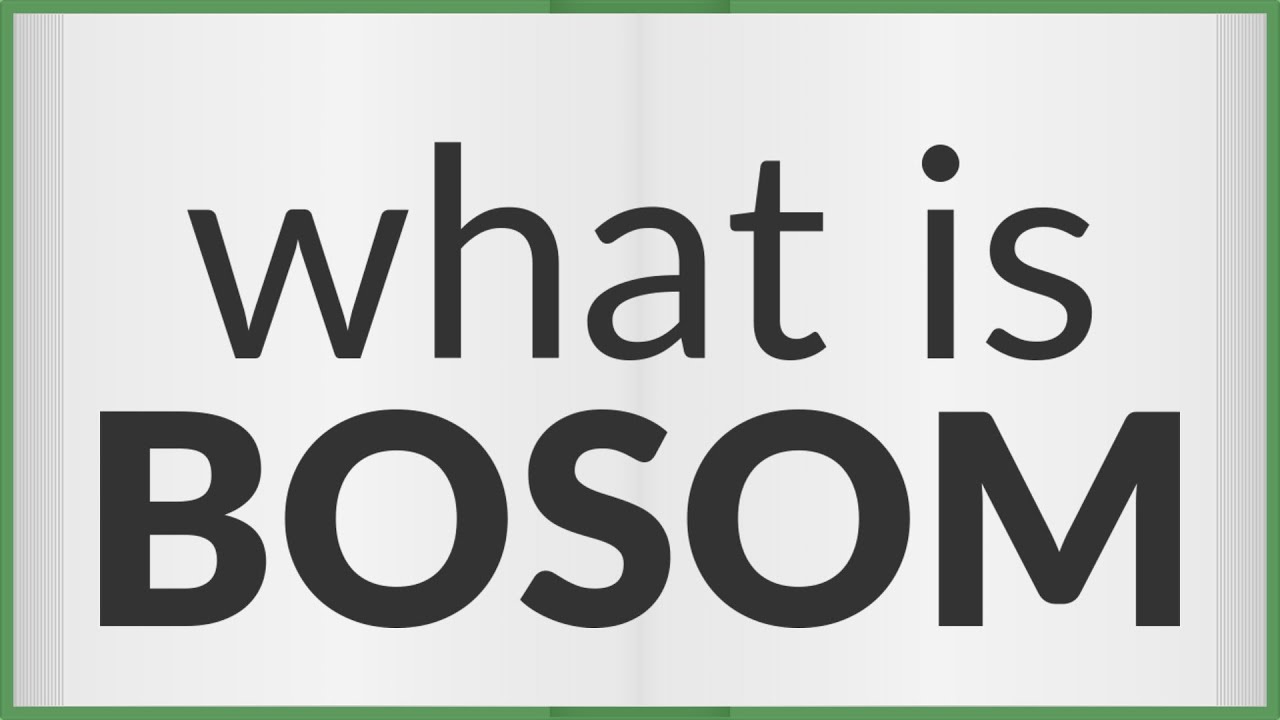 Bosom  meaning of Bosom 