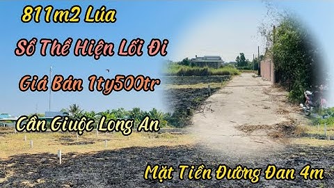 Đất Cần Giuộc Long An. Bán 811m2 Đất Lúa Sổ Hồng Riêng Mặt Tiền Đường Đan 4m