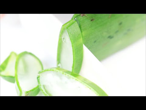 ASMR All of ALOE VERA Sounds?알로에 소리로 떡상할수 있을까?