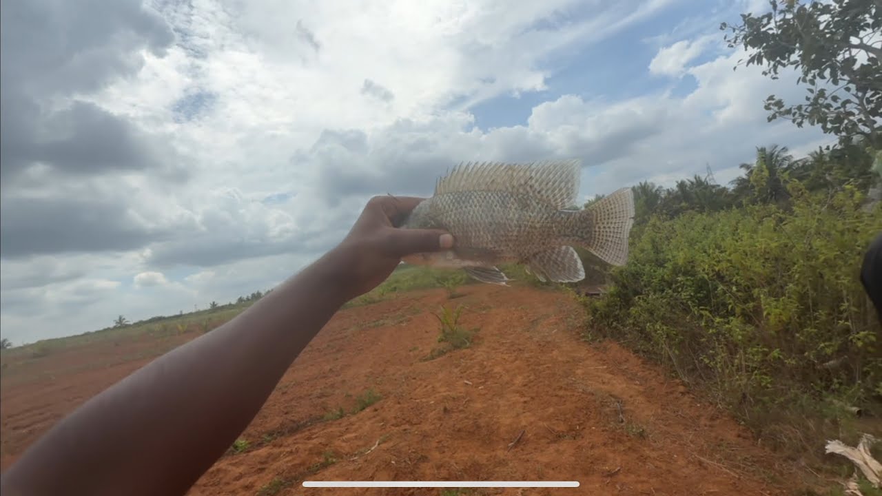 Fishing and full party full enjoyment/prajuvlogs Kannada 