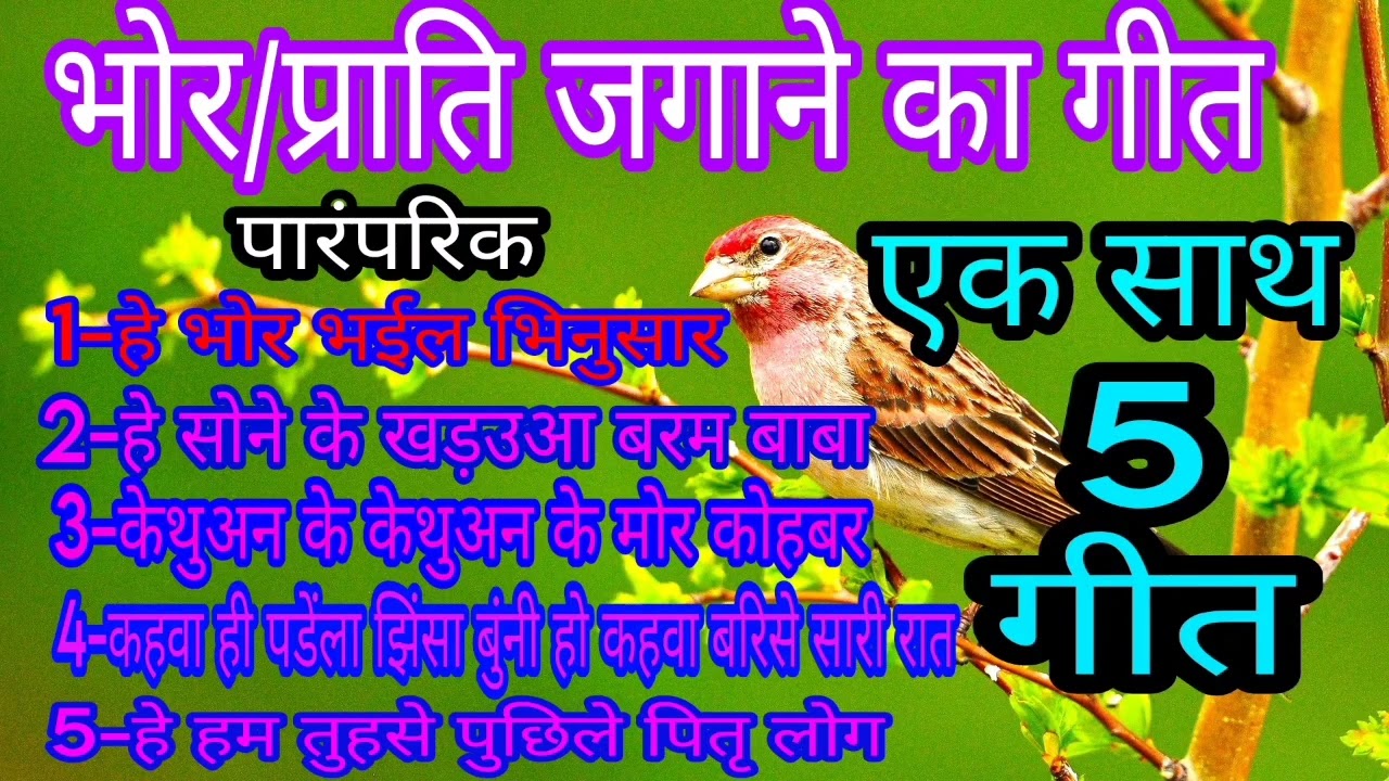 भोर/प्राति जगाने का गीत। एक साथ 5 गीत। Vivah Geet । Bhojpuri Lokgeet Dehati Song ।