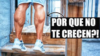 Pantorrillas Charlie caballo mis de en
