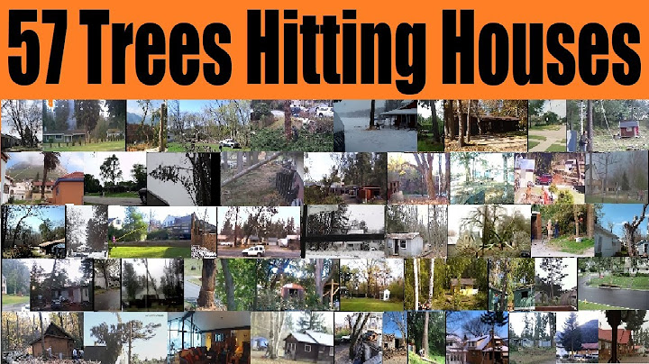 57 bomen tegen huizen 🌲🏠