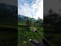 sisakan ruang seperti ini di daerah mu #fypシ #pedesaan  #kabupatenbogor #youtubeshorts