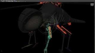 DragonFly Rig