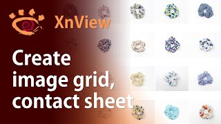Create contact sheet or image grids with XnView for free | XnView Tutorial