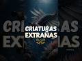 Uno de los primeros superdepredadores🔥 #criaturasextrañas  #prehistoria  #anomalocaris
