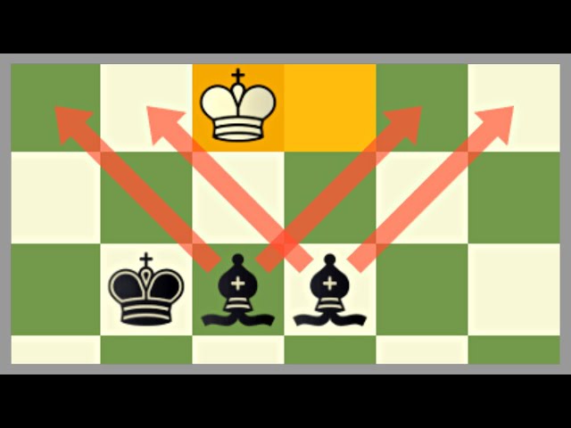 ID Chess 285.960 visualizações há 4 anos 13 mil 324 Compartil.. Download  Salvar Alaric 481 Stephen inseritos INSCREVER-SE 481 inscritos Comentários  687 Tradução: Xadrez eu estou a 4 universos paralelos a sua