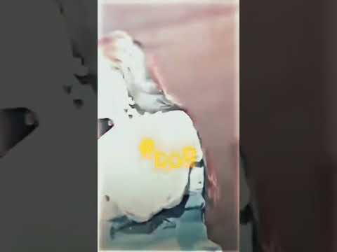 ريم السواس لسانك طويل زياده     ريم السواس الزعيمة   