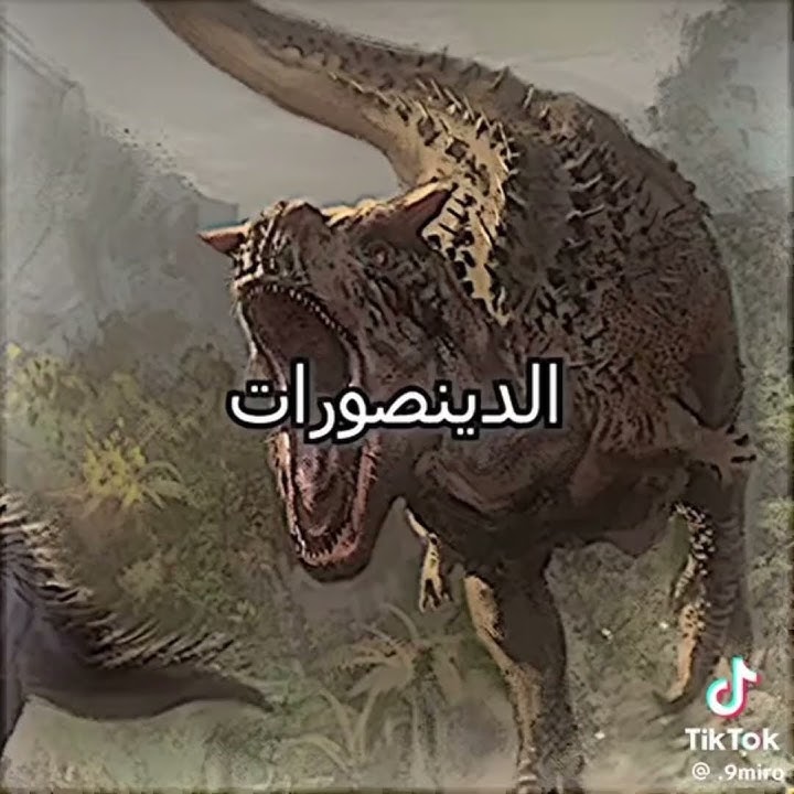 حياتي بقت اجمل بكتير