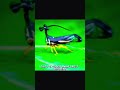 mahoraga goat #viral #trending #fyp #mahoraga
