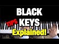 Chopin Etude Op 10 No 5 Piano Tutorial (Black Keys) How to Play Lesson