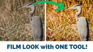 🎬 DEHANCER Film Profiles EXPLAINED! Push/Pull, Negatives &amp; The Magic of Film Looks