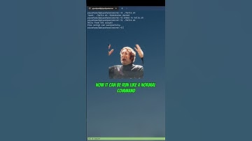 Fix “Permission Denied” in Linux with These 2 Commands 🔐 #coding #programming #shorts #linuxtips