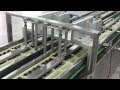 Integrated 600 ppm Ampoule & Vials Packaging Line by Pharmapack
