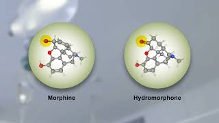 Morphine and Hydromorphone Effects, Side Effects and Variability...