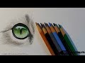 Рисуем цветными карандашами глаз кошки