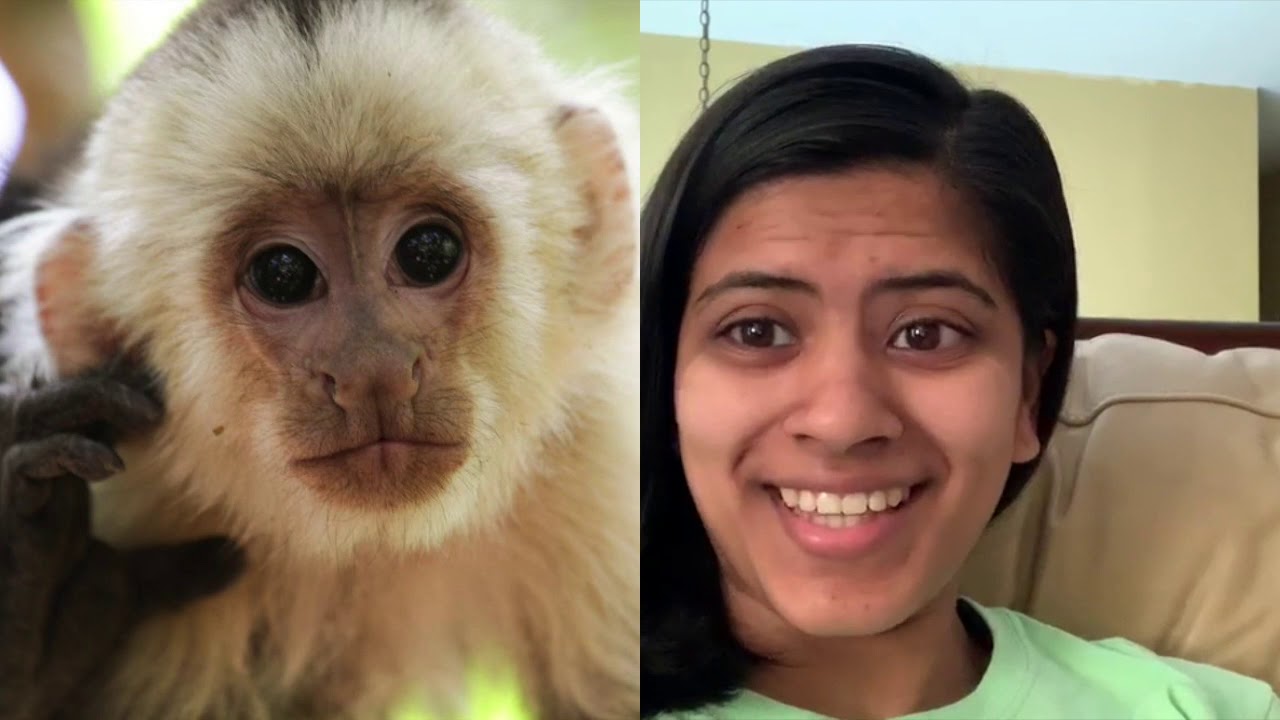 Explore Zoo Animals through the Sense of Hearing w Ms Anjuli YouTube Explore Zoo Animals through the Sense of Hearing w Ms Anjuli YouTube