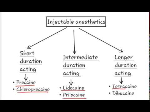 Local Anesthetic Definition Of Local Anesthetic Classification Of Local Anesthetic Youtube Local Anesthetic Definition Of Local Anesthetic Classification Of Local Anesthetic Youtube