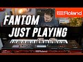 Roland FANTOM | Just Playing, No Talking