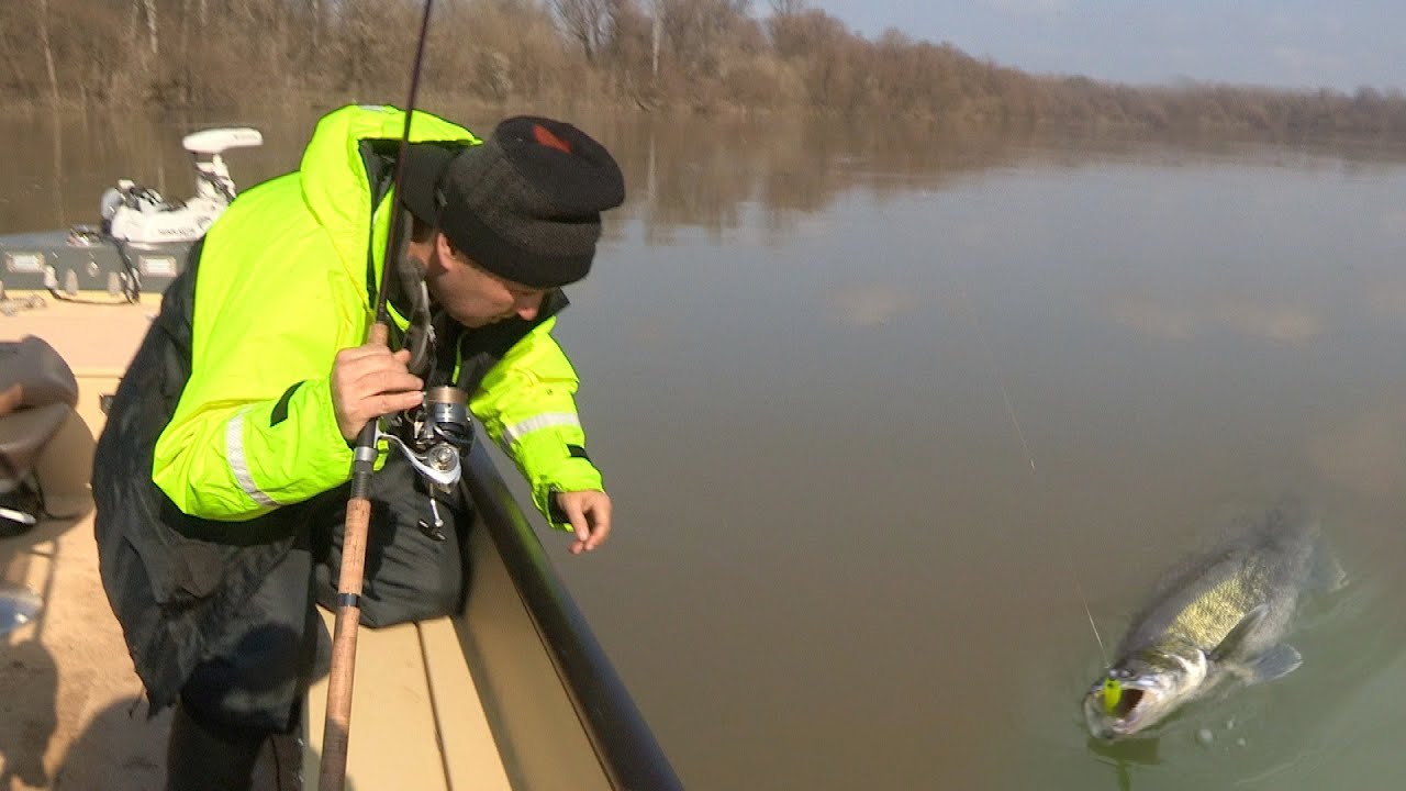 Pecanje smuđa i soma na reci Savi u Hrvatskoj kod Zagreba - Opština Rugvica FULL VIDEO