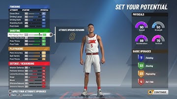 BEST FINISHER BUILD ON NBA2K20! SMALL FORWARD BUILD RARE DEMIGOD BUILD