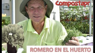 Romero en el Huerto