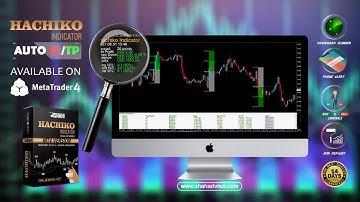 How to launch Hachiko indicator on MT4/Best strategy to use/ the best Indicator 2021