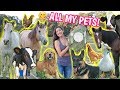 Feeding ALL My Pets In One Video