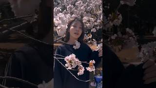 Download Mp3 osanpo #flowers Gudang lagu Download Mp3 osanpo #flowers
