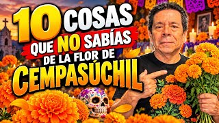 10 COSAS QUE NO SABÍAS DE LA FLOR DE CEMPASÚCHIL | Historia, tradición y significado 10 COSAS QUE NO SABÍAS DE LA FLOR DE CEMPASÚCHIL | Historia, tradición y significado