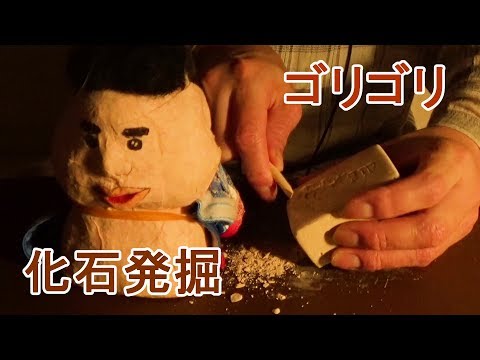 【ASMR】化石を発掘してみた