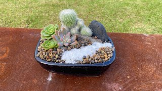 Creating a Zen Inspired Succulent and Cactus Arrangement!