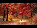 موسيقى هادئة جميلة لإستعادة السلام الداخلي 8 Relaxing Music 