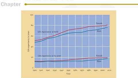 Lifespan Chapter 14 PPT final