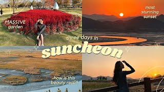 suncheon solo travel vlog ☀ wetland reserve, naganeupseong folk village, open drama filming set