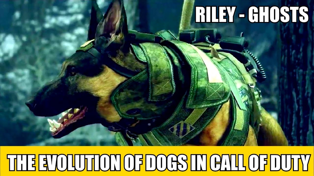 The EVOLUTION of ATTACK DOGS in CALL OF DUTY (KILLSTREAK)