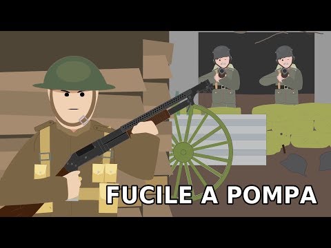 Video: Differenza Tra Il Sequenziamento Del Fucile A Pompa Gerarchico E Dell'intero Genoma