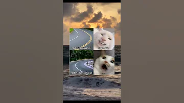 Sebaiknya Jangan Gegabah Shorts Funny Memes 