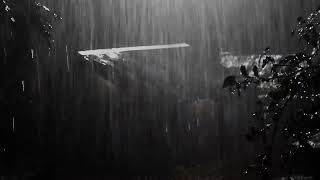 Rain Sounds For Sleeping - 99% Instantly Fall Asleep With Rain And Thunder Live #liverainsounds